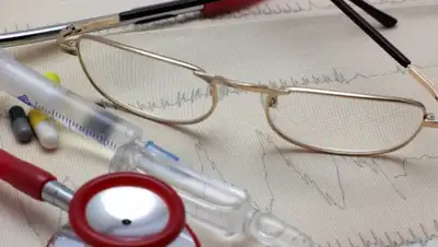 tOrange.biz, фото - Новости Zakon.kz от 18.02.2019 15:10