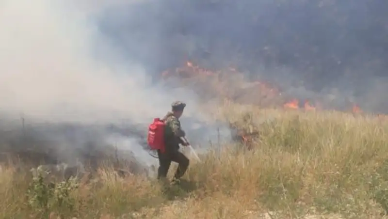 Сухостой горел на склоне горы в Алматы