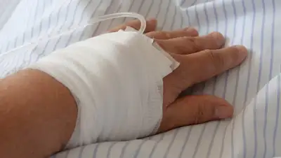 pixabay.com, фото - Новости Zakon.kz от 16.03.2019 06:35