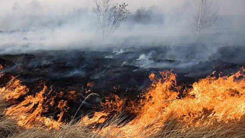 В результате падения части ракеты около Жезказгана погиб человек