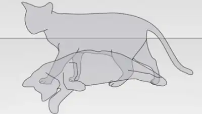 Zakon.kz, фото - Новости Zakon.kz от 04.02.2015 15:24