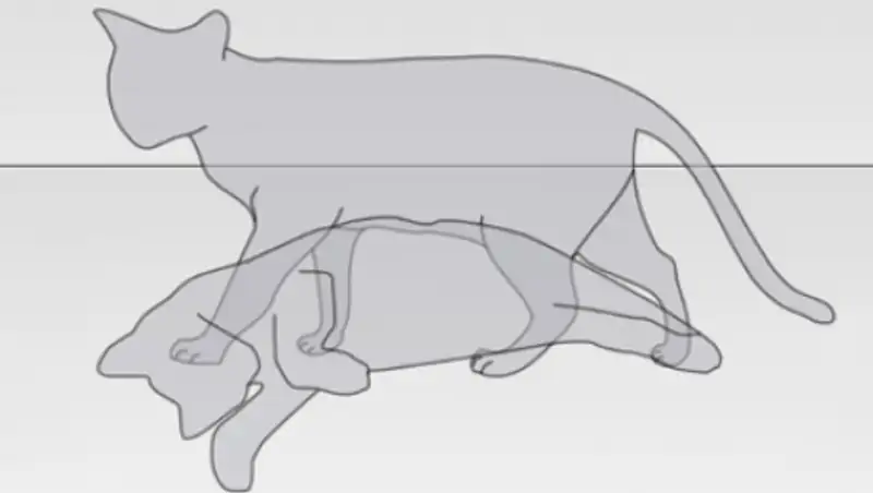 Физики сообщили об объективной реальности волновой функции