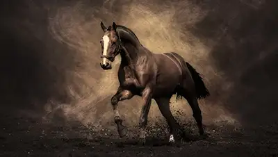 Zakon.kz, фото - Новости Zakon.kz от 09.11.2014 18:01