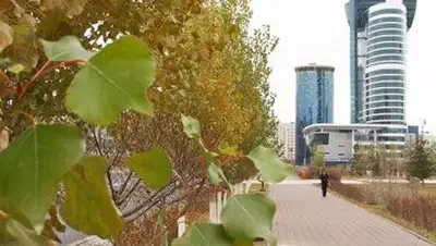 Zakon.kz, фото - Новости Zakon.kz от 25.04.2014 19:06