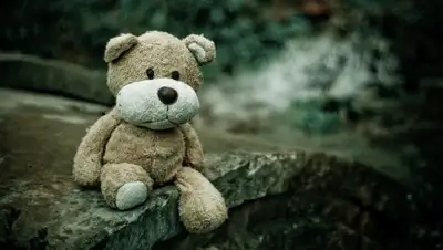 Pixabay, фото - Новости Zakon.kz от 21.11.2019 06:53