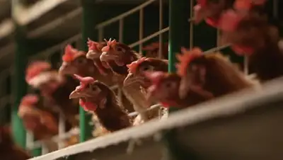 Zakon.kz, фото - Новости Zakon.kz от 23.06.2017 15:54