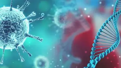 pixabay.com, фото - Новости Zakon.kz от 14.01.2021 09:37