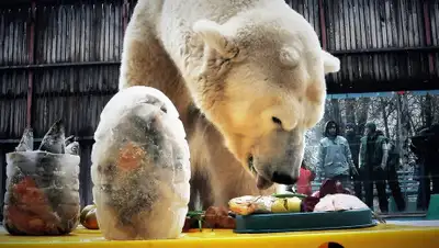 Михаил Сорокоумов, фото - Новости Zakon.kz от 27.02.2020 09:29