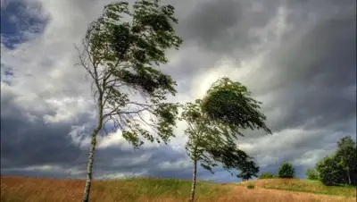 Naviny.by, фото - Новости Zakon.kz от 22.07.2018 15:13