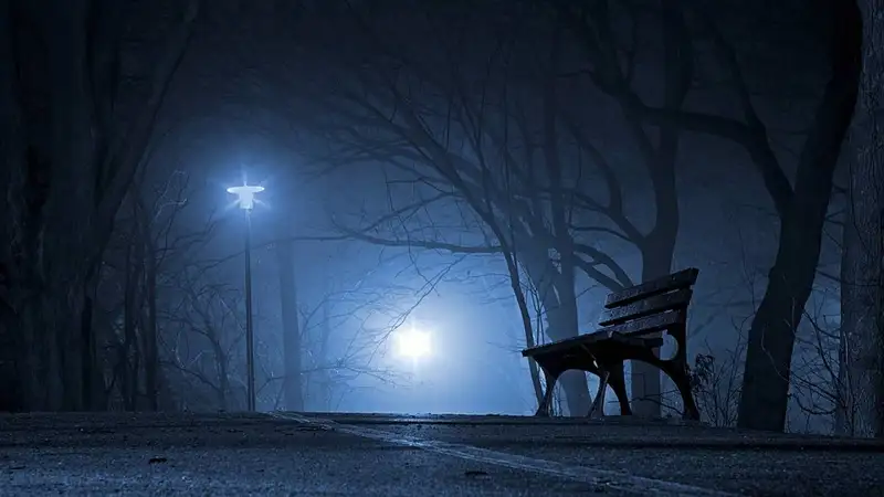 Названа самая безопасная страна для ночных прогулок