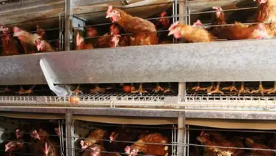 Zakon.kz, фото - Новости Zakon.kz от 30.06.2017 18:17