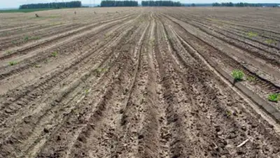 Zakon.kz, фото - Новости Zakon.kz от 18.07.2014 19:09