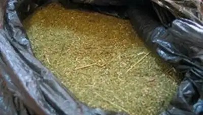 Zakon.kz, фото - Новости Zakon.kz от 17.11.2017 16:30