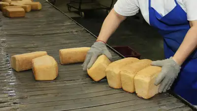 Zakon.kz, фото - Новости Zakon.kz от 10.11.2021 04:28