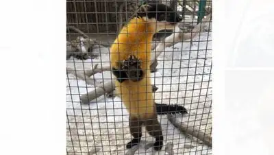 zakon.kz, фото - Новости Zakon.kz от 03.03.2021 09:59