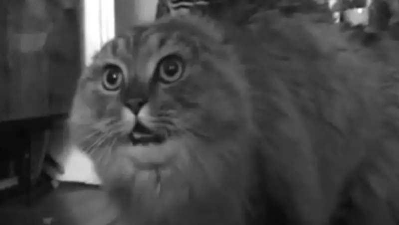 Умерла звезда Youtube