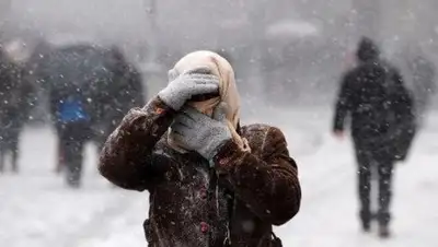 24.kz, фото - Новости Zakon.kz от 13.01.2019 14:15