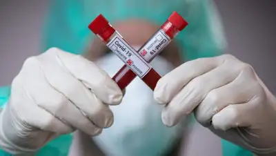 m24.ru, фото - Новости Zakon.kz от 13.05.2020 11:41