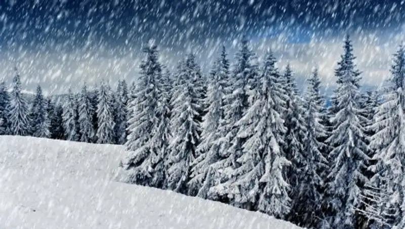 На севере Казахстана ожидаются снегопады и метели, на юге - дожди