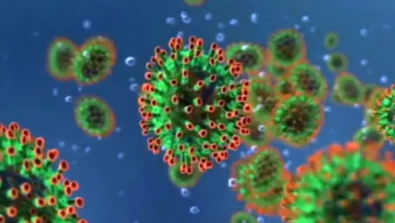 Мифы и ложные представления о коронавирусе