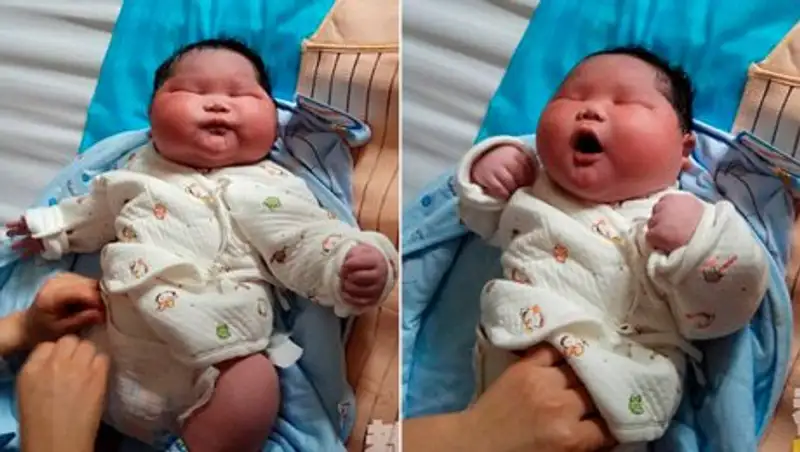 В Китае родился маленький гигант весом 6,7 кг