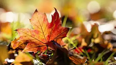 Ваш новый день, фото - Новости Zakon.kz от 12.09.2018 12:40