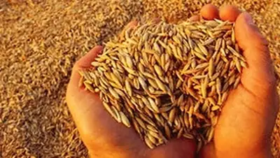 Zakon.kz, фото - Новости Zakon.kz от 18.08.2014 16:12