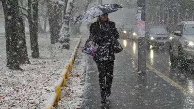 из открытых источников, фото - Новости Zakon.kz от 16.01.2019 11:49