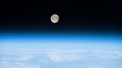 Википедия, фото - Новости Zakon.kz от 28.02.2018 17:27