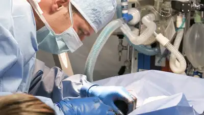 Pixabay, фото - Новости Zakon.kz от 10.09.2020 00:53