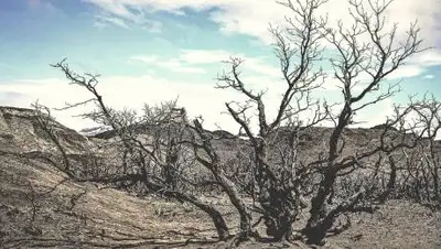 PxHere, фото - Новости Zakon.kz от 21.10.2021 00:53