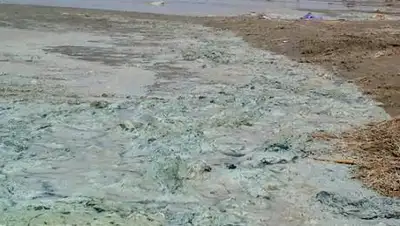 mgorod, фото - Новости Zakon.kz от 10.03.2021 08:25