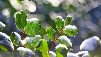 Стихи.ру, фото - Новости Zakon.kz от 09.09.2018 18:12