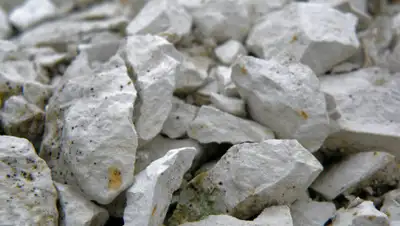 wikimedia.org, фото - Новости Zakon.kz от 01.02.2020 12:46