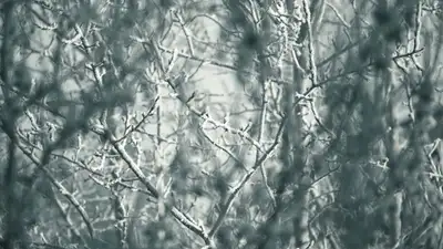 Погода , фото - Новости Zakon.kz от 10.12.2022 10:11