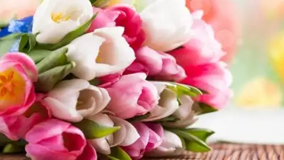 Zakon.kz, фото - Новости Zakon.kz от 08.03.2016 15:02