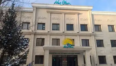 Nur Otan, фото - Новости Zakon.kz от 09.02.2021 10:11