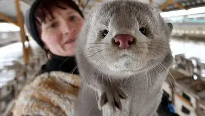 ТАСС, фото - Новости Zakon.kz от 20.05.2020 08:41