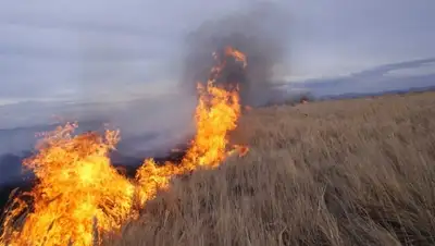 Zakon.kz, фото - Новости Zakon.kz от 13.08.2015 05:53