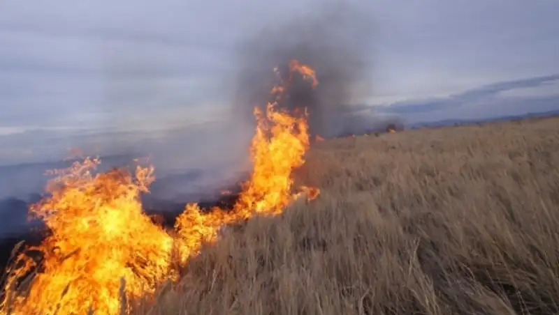 В ВКО тушат степной пожар на площади 500 га