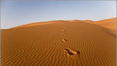 Zakon.kz, фото - Новости Zakon.kz от 01.11.2013 03:12