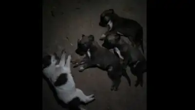 Zakon.kz, фото - Новости Zakon.kz от 08.11.2017 21:01