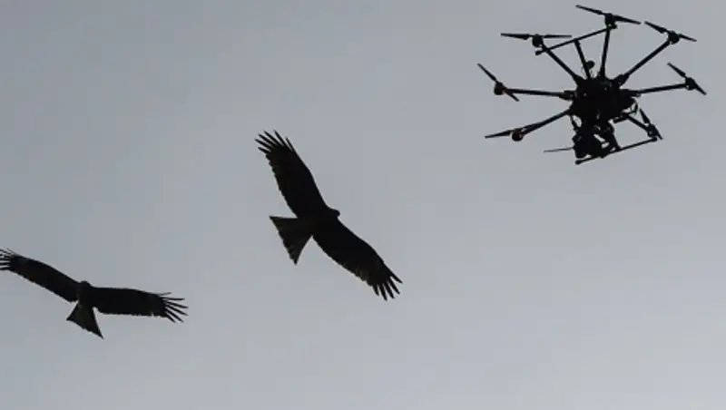 Беспилотники нужно ставить на учет в Казахстане - КГА  