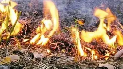 Zakon.kz, фото - Новости Zakon.kz от 20.08.2015 00:17