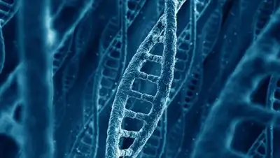 Фото © Depositphotos / zentilia, фото - Новости Zakon.kz от 18.01.2018 00:10