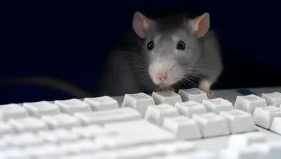 Depositphotos, фото - Новости Zakon.kz от 16.04.2021 18:59