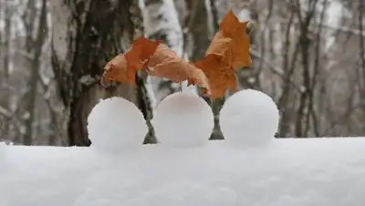 pixabay.com, фото - Новости Zakon.kz от 17.01.2021 16:09