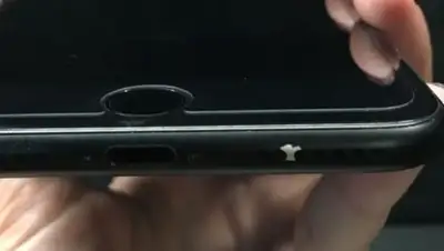 Zakon.kz, фото - Новости Zakon.kz от 11.02.2017 05:53