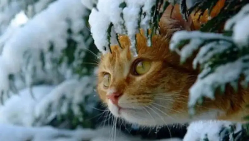 Осадки сохраняются в Казахстане 4 декабря