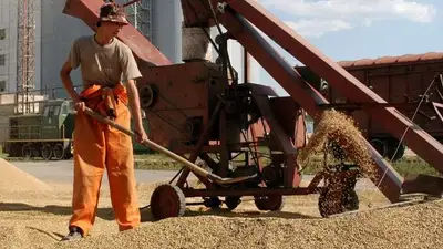 Рекордный урожай казахстанского зерна не могут экспортировать за рубеж, фото - Новости Zakon.kz от 27.03.2023 04:39